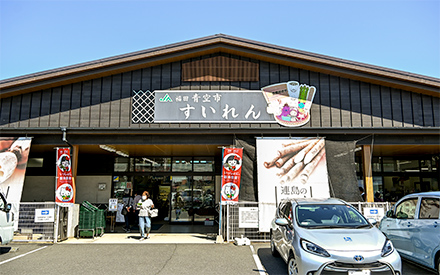 福田青空市「すいれん」