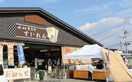 福田青空市「すいれん」