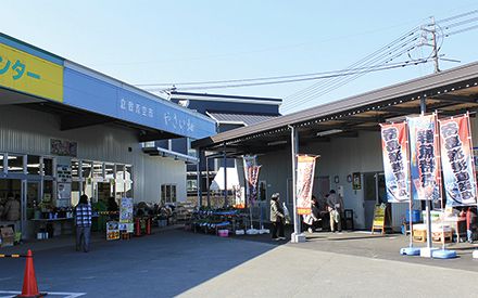 倉敷青空市「やさい畑」